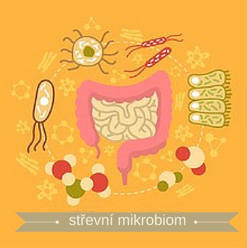 střevní mikrobiom